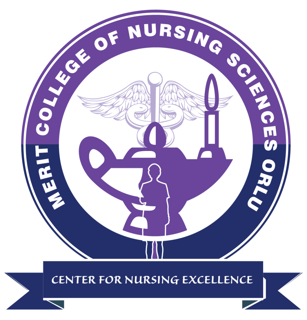 Case studies 3 main.merit .logo